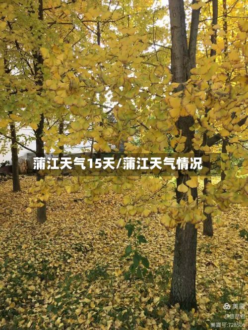 蒲江天气15天/蒲江天气情况