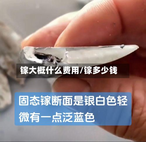 镓大概什么费用/镓多少钱-第2张图片
