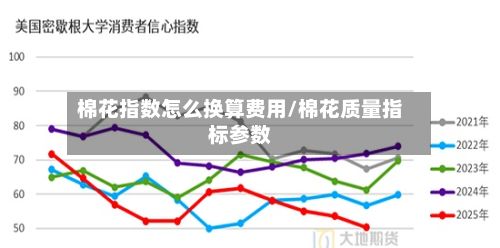 棉花指数怎么换算费用/棉花质量指标参数-第2张图片