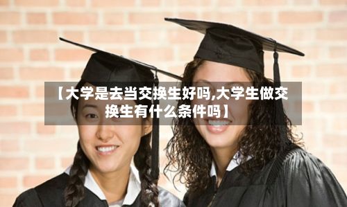 【大学是去当交换生好吗,大学生做交换生有什么条件吗】