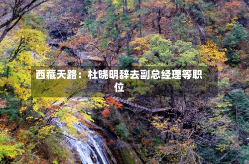 西藏天路：杜晓明辞去副总经理等职位