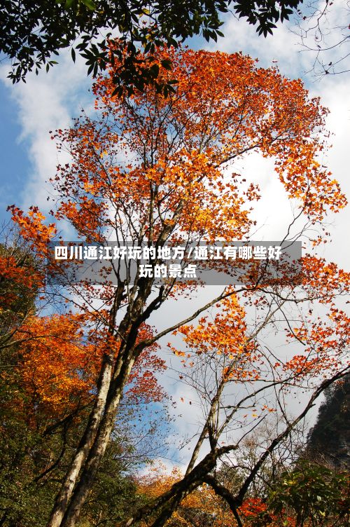 四川通江好玩的地方/通江有哪些好玩的景点-第2张图片