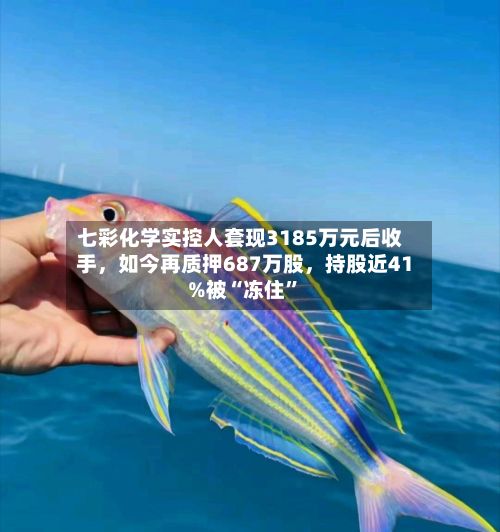 七彩化学实控人套现3185万元后收手，如今再质押687万股	，持股近41%被“冻住	”-第1张图片