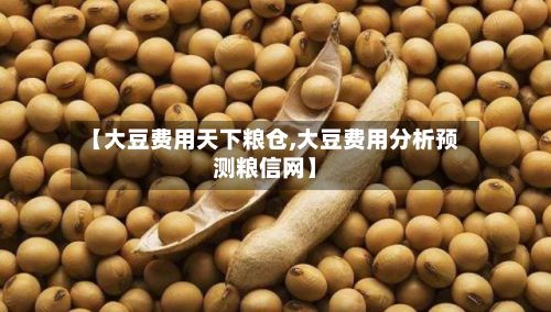 【大豆费用天下粮仓,大豆费用分析预测粮信网】