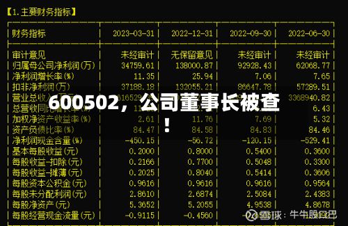 600502，公司董事长被查！