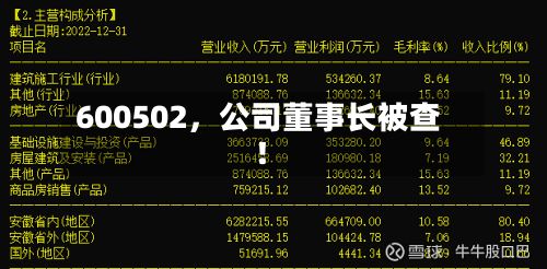 600502，公司董事长被查！-第2张图片