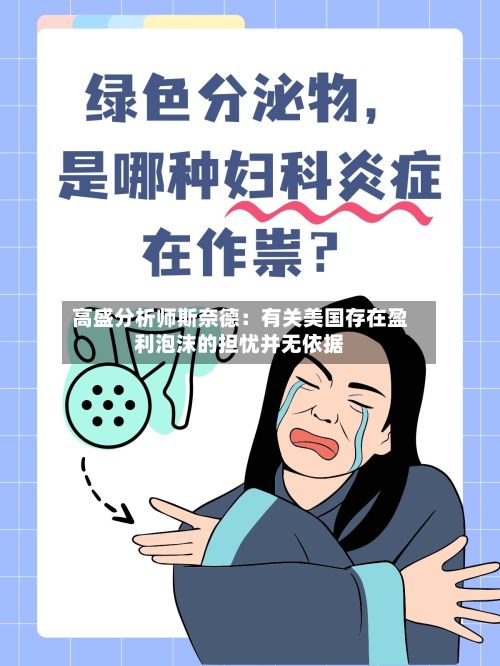 高盛分析师斯奈德：有关美国存在盈利泡沫的担忧并无依据-第2张图片