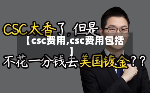 【csc费用,csc费用包括】-第2张图片