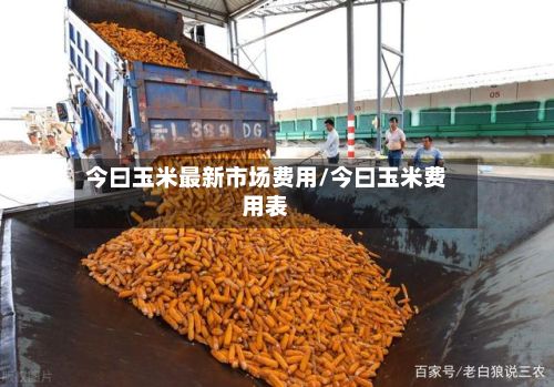 今曰玉米最新市场费用/今曰玉米费用表