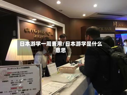 日本游学一周费用/日本游学是什么意思-第2张图片