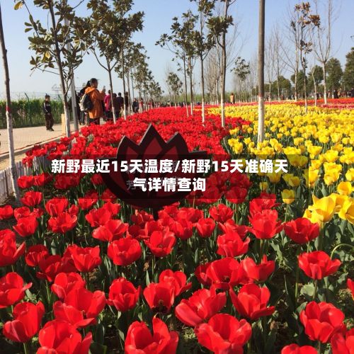 新野最近15天温度/新野15天准确天气详情查询-第3张图片