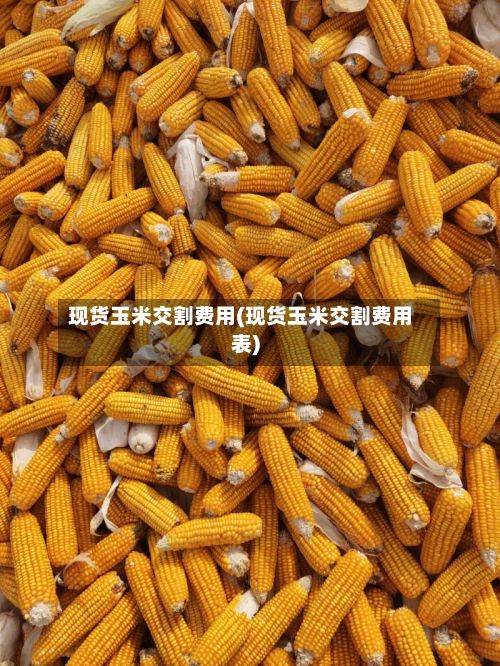 现货玉米交割费用(现货玉米交割费用表)