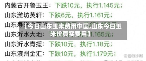 【今日山东玉米费用中国,山东今日玉米价真实费用】-第3张图片