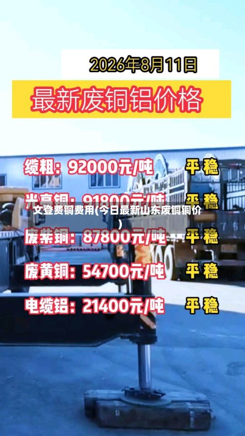 文登费铜费用(今日最新山东废铜铜价)