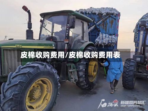 皮棉收购费用/皮棉收购费用表