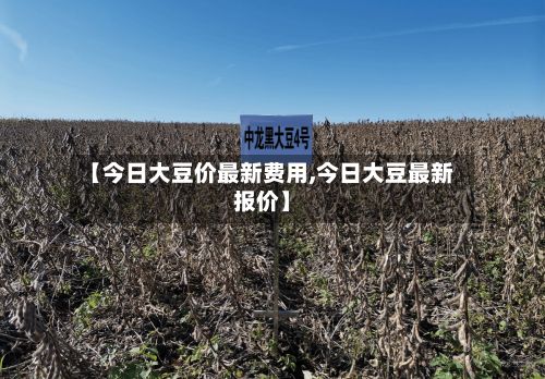 【今日大豆价最新费用,今日大豆最新报价】-第2张图片
