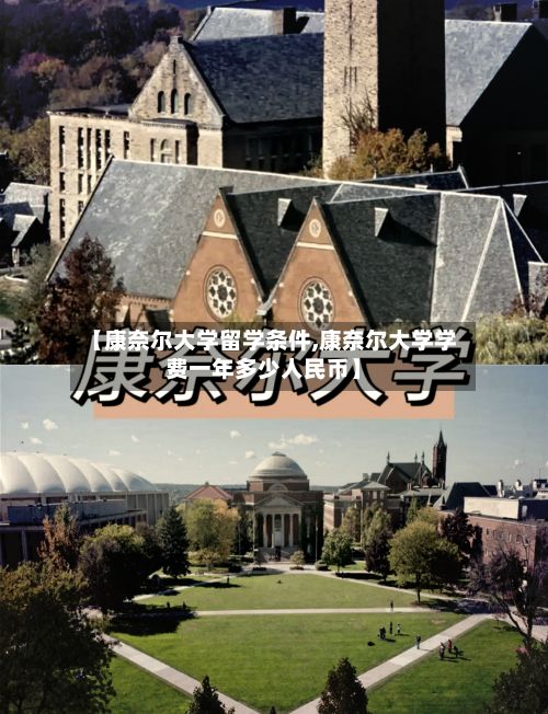 【康奈尔大学留学条件,康奈尔大学学费一年多少人民币】-第2张图片