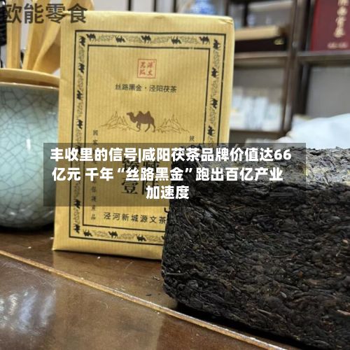 丰收里的信号|咸阳茯茶品牌价值达66亿元 千年“丝路黑金	”跑出百亿产业加速度-第2张图片