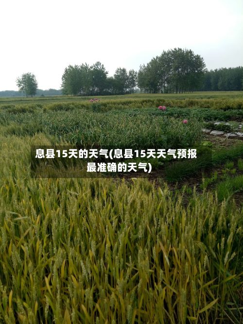 息县15天的天气(息县15天天气预报最准确的天气)-第2张图片