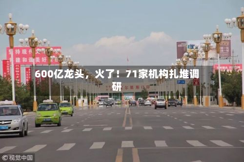 600亿龙头，火了！71家机构扎堆调研-第1张图片