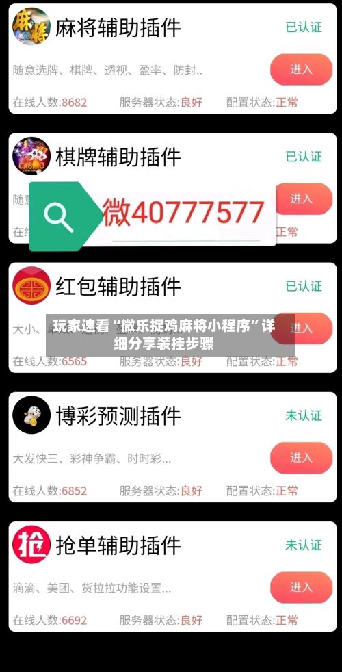 玩家速看“微乐捉鸡麻将小程序”详细分享装挂步骤-第2张图片