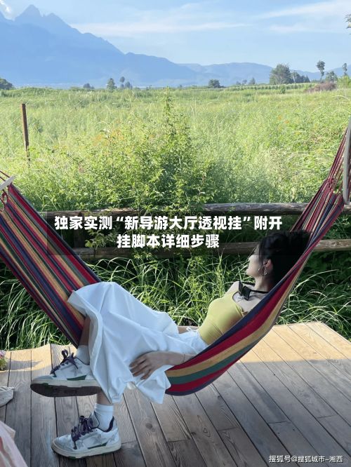 独家实测“新导游大厅透视挂	”附开挂脚本详细步骤-第2张图片