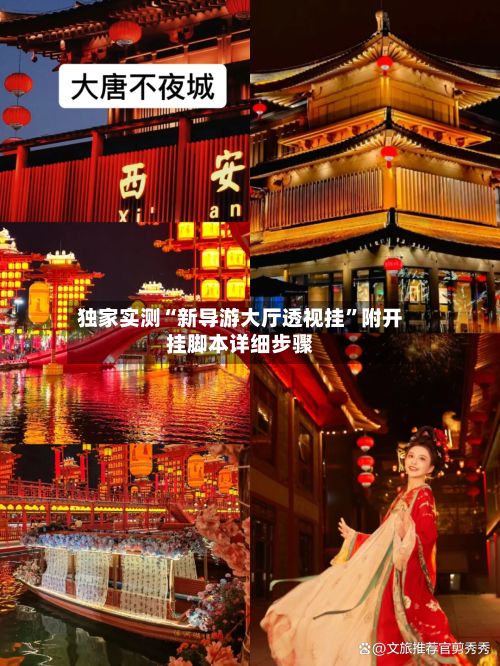 独家实测“新导游大厅透视挂”附开挂脚本详细步骤-第3张图片