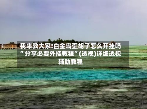 我来教大家!白金岛歪胡子怎么开挂吗”分享必要外挂教程”(透视)详细透视辅助教程-第2张图片