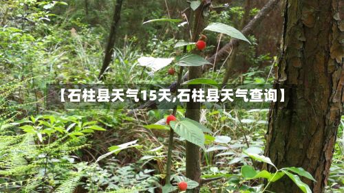 【石柱县天气15天,石柱县天气查询】-第2张图片