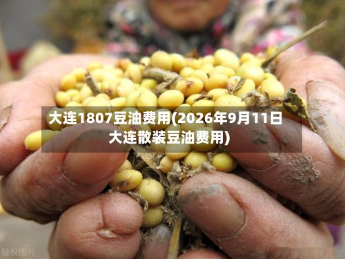 大连1807豆油费用(2026年9月11日大连散装豆油费用)-第2张图片