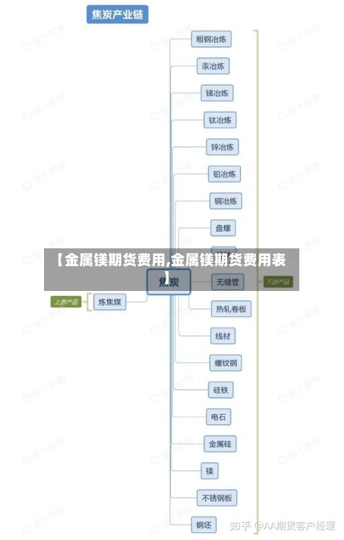 【金属镁期货费用,金属镁期货费用表】