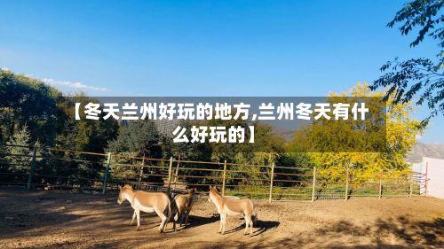 【冬天兰州好玩的地方,兰州冬天有什么好玩的】-第2张图片