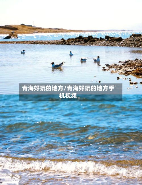 青海好玩的地方/青海好玩的地方手机视频