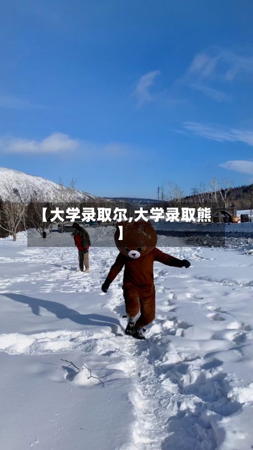 【大学录取尔,大学录取熊】-第3张图片