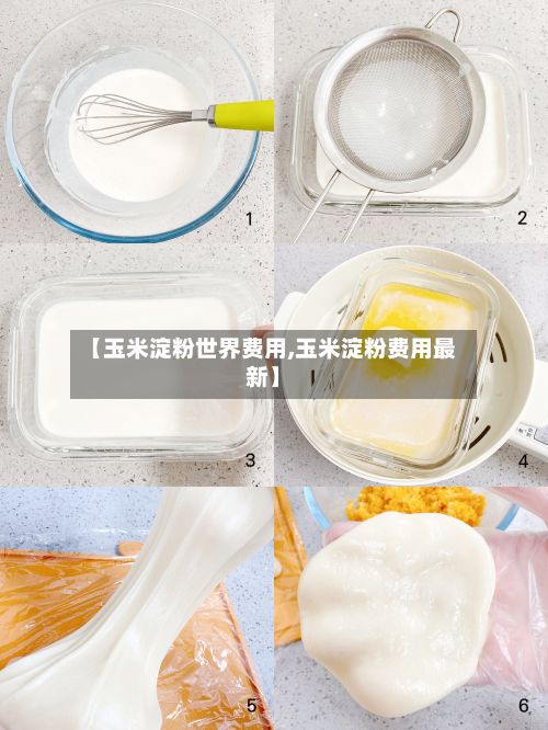 【玉米淀粉世界费用,玉米淀粉费用最新】-第2张图片