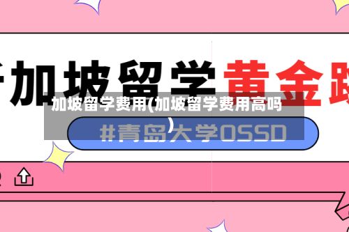 加坡留学费用(加坡留学费用高吗)