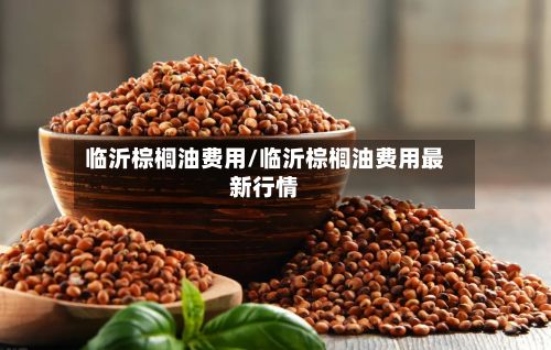 临沂棕榈油费用/临沂棕榈油费用最新行情-第2张图片