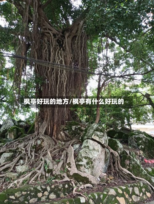 枫亭好玩的地方/枫亭有什么好玩的