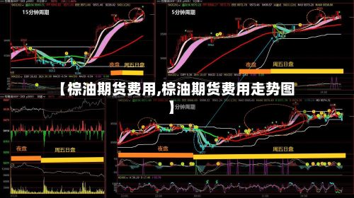 【棕油期货费用,棕油期货费用走势图】