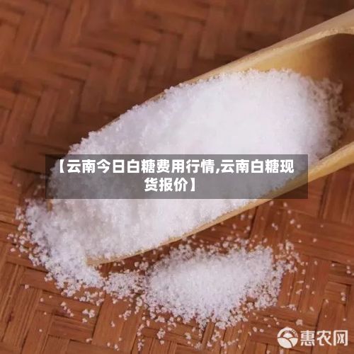 【云南今日白糖费用行情,云南白糖现货报价】