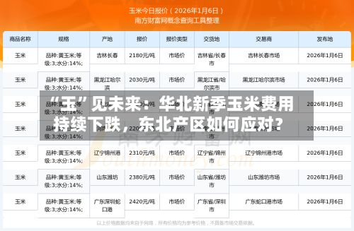 “玉	”见未来：华北新季玉米费用持续下跌，东北产区如何应对？-第2张图片