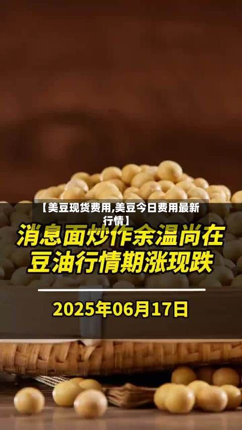 【美豆现货费用,美豆今日费用最新行情】