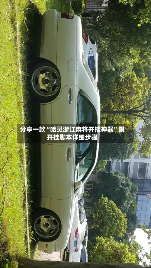 分享一款“哈灵浙江麻将开挂神器	”附开挂脚本详细步骤-第2张图片