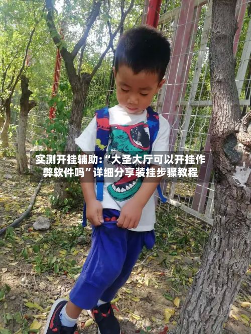 实测开挂辅助:“大圣大厅可以开挂作弊软件吗”详细分享装挂步骤教程-第2张图片