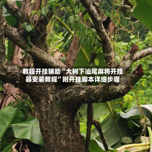 教程开挂辅助“大树下汕尾麻将开挂器安装教程”附开挂脚本详细步骤-第2张图片