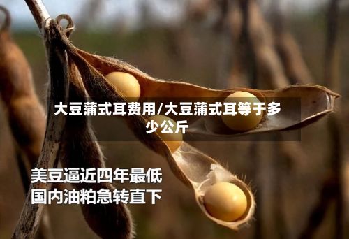 大豆蒲式耳费用/大豆蒲式耳等于多少公斤-第3张图片