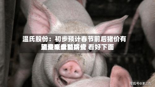 温氏股份：初步预计春节前后猪价有望迎来盘整拐点 看好下面消费旺季的鸡价-第1张图片