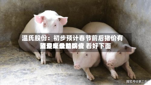 温氏股份：初步预计春节前后猪价有望迎来盘整拐点 看好下面消费旺季的鸡价-第2张图片