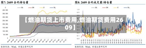 【燃油期货上市费用,燃油期货费用2609】