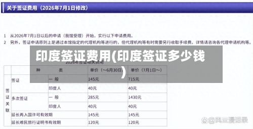 印度签证费用(印度签证多少钱)-第2张图片